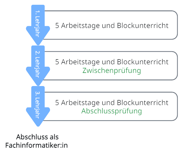Grafik Ablauf Ausbildung Fachinformatiker:in Grafik Ablauf Ausbildung Fachinformatiker:in
